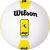 Wilson Outdoor Volleyballs