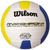 Recreational Outdoor Volleyballs
