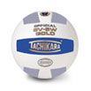 Indoor Volleyball Balls