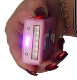 Rechargeable Stun Gun