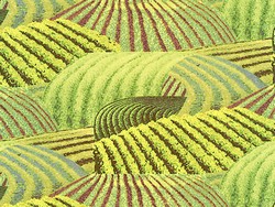 John Deere Dere Deree patchwork tractor tractors farm farming Baby Crib Bedding nursery bedding baby John Deere Dere Deree Nursery Accessories,john deere, deere, john deer, john deere tractor, john deere tractors, john deere logo, john deere american farmer, john deere bedding, john deer tractors, deere john, pink john deere, john deer tractor, john deere .com, antique john deere tractors, john deere toy tractors, john deere nothing runs like a deer logo, john deere fabric, john deere toy, john deere merchandise, jhon deere, jonh deere, john deere purse, pictures of john deere tractors, john deere green, john deere logos, john deer logo, john dere, john deere toy tractor, john deere tractor pictures, john deere baby, john deere comforter, john deere purses, john deere border, john deere decal, john deere birthday, john deer toys, old john deere tractors, john deere products, john deere tractor toys, john deere party, john deere curtains, john deere farm tractors, john deere baby bedding, john deere lamp, john deere collectibles, tracteur john deere, john deer toy tractors, john deere accessories, john deere pink, john deere gifts, john deere sheets, john deere crib bedding, john deere stuff, john deer american farmer, john deere crib set, john deere toddler bedding, john deere diaper bag, john deere kids bedding, pink john deere logo, john deere crib sets, deer john, baby john deere, john deer .com, john deer bedding, john deere nursery, johan dere, john deere baby stuff, bedding john deere, pink john deere fabric, john deer tractor curtains, john deer birthday, john deere baby nursery ideas, john deere nursery bedding, john dere logo, tracteur john deer, pink john deere items, john deere baby items, john deer border, john deer crib bedding, john deere crib, john deere bag, john deere pink fabric, john deer fabric, john deere diaper bags, john deer gifts, john deere comforter set, john deer purses