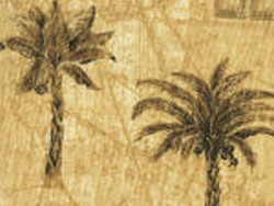 Jolly Jungle Baby Quilts, African Safari Baby Bedding, On Safari Elephants Nursery Bedding, African Safari Toddler Quilts, African Safari toddler bedding, African Safari toddler comforter, African Safari toddler duvet, African safari nursery products, Jolly Jungle baby crib bedding, safari baby bedding, safari baby blanket, African safari Baby Bedding, African Safari Nursery Accessories, Safari Baby Products, African Safari Baby & Toddler Crib Bedding, African Safari Quilt, African Safari Comforter, African safari baby crib bedding, safari baby bedding, safari Baby Bedding, African Safari Nursery Accessories, Safari Baby Products, safari Baby Bedding, African Safari Nursery Accessories, Safari Baby Products, Jolly Jungle baby Bedding, African Safari Nursery Accessories, Safari Baby Products, safari Baby Bedding, African Safari Nursery Accessories, Safari Baby Products, baby nursery decoration safari, safari baby crib, baby safari Baby Bedding, African Safari Nursery Accessories, Safari Baby Products, baby safari animals, African safari animal Baby Bedding, African Safari Nursery Accessories, Safari Baby Products, Safari Bed Bedroom, African safari animals Jungle Animal Nursery Accessories, African Safari Baby Products, Nursery Jungle Items, Jungle Nurseries, Baby Bedding, African Safari Nursery Accessories, Safari Baby Products Babies