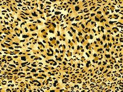 Cheetah Spots African Safari Jungle Animal Baby Toddler Quilts, African Safari Cheetah Spots Baby Toddler Quilts, Cheetah Spots skin baby crib bedding, Cheetah Spots baby bedding, safari baby blanket, African safari Baby Bedding, African Safari Nursery Accessories, Safari Baby Products, African Safari Baby & Toddler Crib Bedding, African Safari Quilt, African Safari Comforter, Jungle Safari elephants, cheetahs, zebras, alligators, tropical flowers, African savanna, wild kingdoms, , African safari baby crib bedding, safari baby bedding, safari Baby Bedding, African Safari Nursery Accessories, Safari Baby Products, safari Baby Bedding, African Safari Nursery Accessories, Safari Baby Products, baby Bedding, African Safari Nursery Accessories, Safari Baby Products, safari Baby Bedding, African Safari Nursery Accessories, Safari Baby Products, baby nursery decoration safari, safari baby crib, baby safari Baby Bedding, African Safari Nursery Accessories, Safari Baby Products, baby safari animals, African safari animal Baby Bedding, African Safari Nursery Accessories, Safari Baby Products, Safari Bed Bedroom, African safari animals Jungle Animal Nursery Accessories, African Safari Baby Products, Nursery Jungle Items, Jungle Nurseries, Baby Bedding, African Safari Nursery Accessories, Safari Baby Products Babies