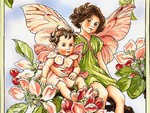 fairy bedding, fairy baby, fairy princess bedding, baby fairy, fairy baby bedding, fairy crib bedding, fairy nursery bedding, bedding fairy nursery stuff for baby, fairy tale crib bedding, fairy tale princess bedding, gifts bedding fairy nursery stuff for baby, baby bedding fairy, fairy baby room, girls fairy bedding, fairy baby blankets, bedding crib fairy, bedding fairy garden, child fairy bedding, bedding fairy nursery, fairy crib
bedding fairy flower, bedding fairy, baby fairy pictures, fairy crib set, bedding fairy princess, fairy nursery theme, baby shower invitation fairy, girl fairy bedding, baby fairy & angels, bedding fairy toddler, fairy crib sets, bedding fairy girl, Baby Crib Bedding, fairy Nursery Accessories