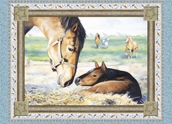  bedding decor horse, bedding little pony, wild horse bedding, bedding girl pony, cowboy-quilt, cowboy baby bedding, crib bedding horse, retro cowboy baby bedding, toddler cowboy bedding, bedding little pony toddler, decor nursery western, horse bedding for kids, baby bedding pony, bedding cowboy nursery, cowboy baby nursery, baby bedding crib western, bedding comforter horse, cowboy rodeo bedding sets, bedding horse theme, bedding set horse, western horse bedding, western theme baby nursery, baby bedding horse rocking, boys cowboy bedding, crib bedding western, western baby quilt, western bedding, bedding horse spirit, girls pony bedding, my little pony crib bedding, bedding boy cowboy, horse baby shower gifts, bandana bedding cowboy red, children's western bedding, bedding guardian horse, cowboy western bedding, horse bedding, bedding bedroom horse, western baby girl, western bedding d�cor, western horse quilt, bedding toddler western, little pony bedding, rideem cowboy bedding, rocking horse bedding, western baby gift, western baby nurseries, cowboy baby quilt, cowboy infant bedding, horse pattern quilt, kids western bedding, Horse Western Nursery Accessories