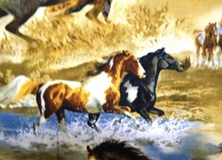 western embroidered baby blankets, country western bedding, young girls horse bedding, boy cowboy baby bedding, cowboy toddler bedding, cowboy nursery, bedding horse home d�cor, horse country bedding, western baby announcements, children's and cowboy and bedding, quilt fabric cowboy, girls horse bedding fabric, western bedding for a crib, horse and unicorn children's bedding, horse gift for baby, child cowboy bedding, cowboy quilt, walking horse baby blankets, bedding and horse pattern and flannel sheets, western baby shower gifts, western quilt patterns, cowboy bedding for girls, bedding horse kid, ride cowboy bedding kids, kids cowboy bedding, child western bedding, girl horse bedding, cowboy kid bedding, horse themed bedding, western cowboy bedding, baby western, kid cowboy bedding, bedding child horse, horse bedding for girls, cowboy bedding set, vintage cowboy baby bedding, western bedding set, bedding crib western, cowboy boot quilt, bedding cowboy western, horse baby, horse crib bedding, children s western bedding, cowboy bedding, cowboy bedding, bedding in a western designs, horse baby bedding, western nursery bedding, baby nursery western, western kids bedding, spirit horse bedding, baby bedding horse, horse baby shower gift, Western Nursery Accessories