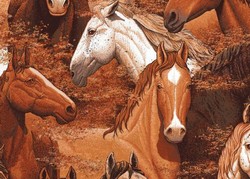 horse bedding, western bedding, baby horse cowboy bedding, cowboy crib bedding, cowboy baby bedding, western baby bedding, horse print bedding, cowboy bedding for boys, baby rocking horse, western kid bedding, western crib bedding, horse theme bedding, bedding cowboy, western baby, quilt western, horse quilt, cowboy nursery bedding, horse baby shower gifts, girls horse bedding, kids horse bedding, western quilt, western room horse decor bedding, cowboy boots baby quilt, baby gift horse, bedding western, western bedding search, western horse theme bedding, baby bedding western, children's horse bedding, baby bedding cowboy, pony bedding, western theme crib bedding, western baby d�cor, children's cowboy bedding, western baby gifts, western style bedding, yellow rocking horse quilt, western cowboy round crib bedding, baby comforters rocking horse, kids western bedding, bedding horse, cowboy kids bedding, horse theme bedding, baby rooms western, country western baby bedding, girls horse themed bedding, children's pony bedding, western country vintage baby bedding, boys western bedding, horse bedding set, Western Nursery Accessories