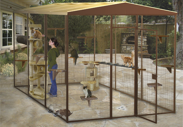 outside play area for kitty