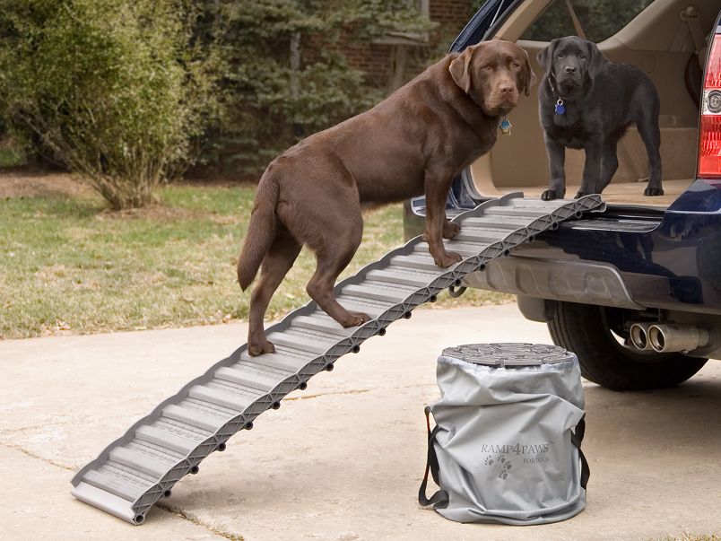 car ramp big dog, step car dog