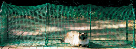 Cat Play Pen,Outdoor Play Area for Pets,Outdoor Pet Enclosure