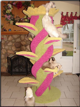Cat Tree Color Custom Order