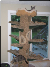 Unique Cat Tree,handmade USA