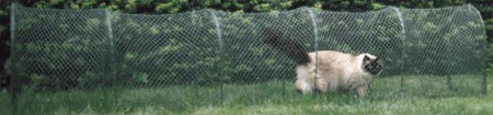 Outdoor Cat Enclosure,Cat Play Pen,Cat Play Area