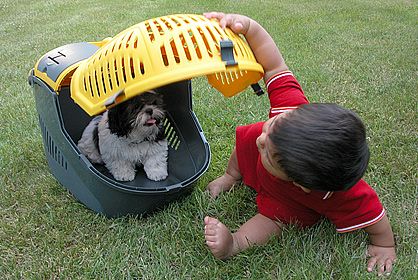Cat Carrier,Small Pet Carrier,Sturdy Pet Carrier