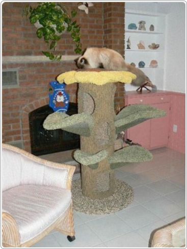 Unique and Different Cat Tree