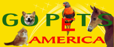 Dogs, Cats, Pets, Horses, Animal Care Jobs - GoPetsAmerica.com