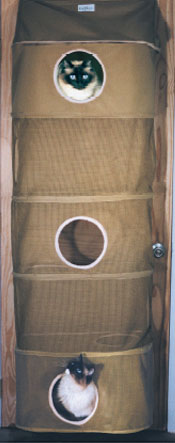 indoor climber,cat condo hang behind door