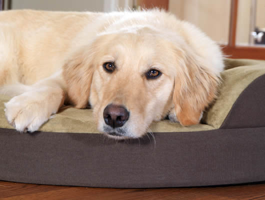 safe heating bed doggie,heater pet bed